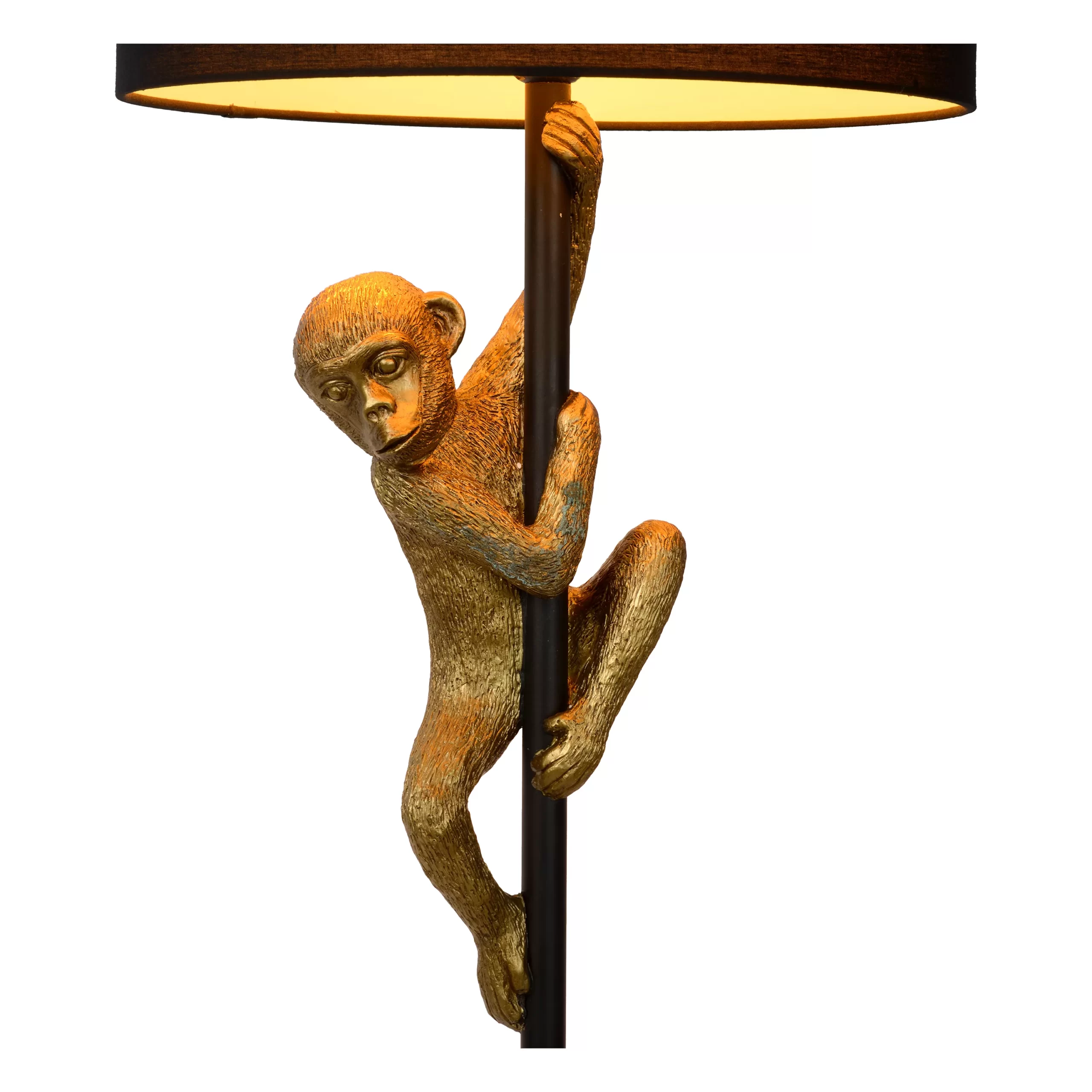 Lucide CHIMP pé - Image 3