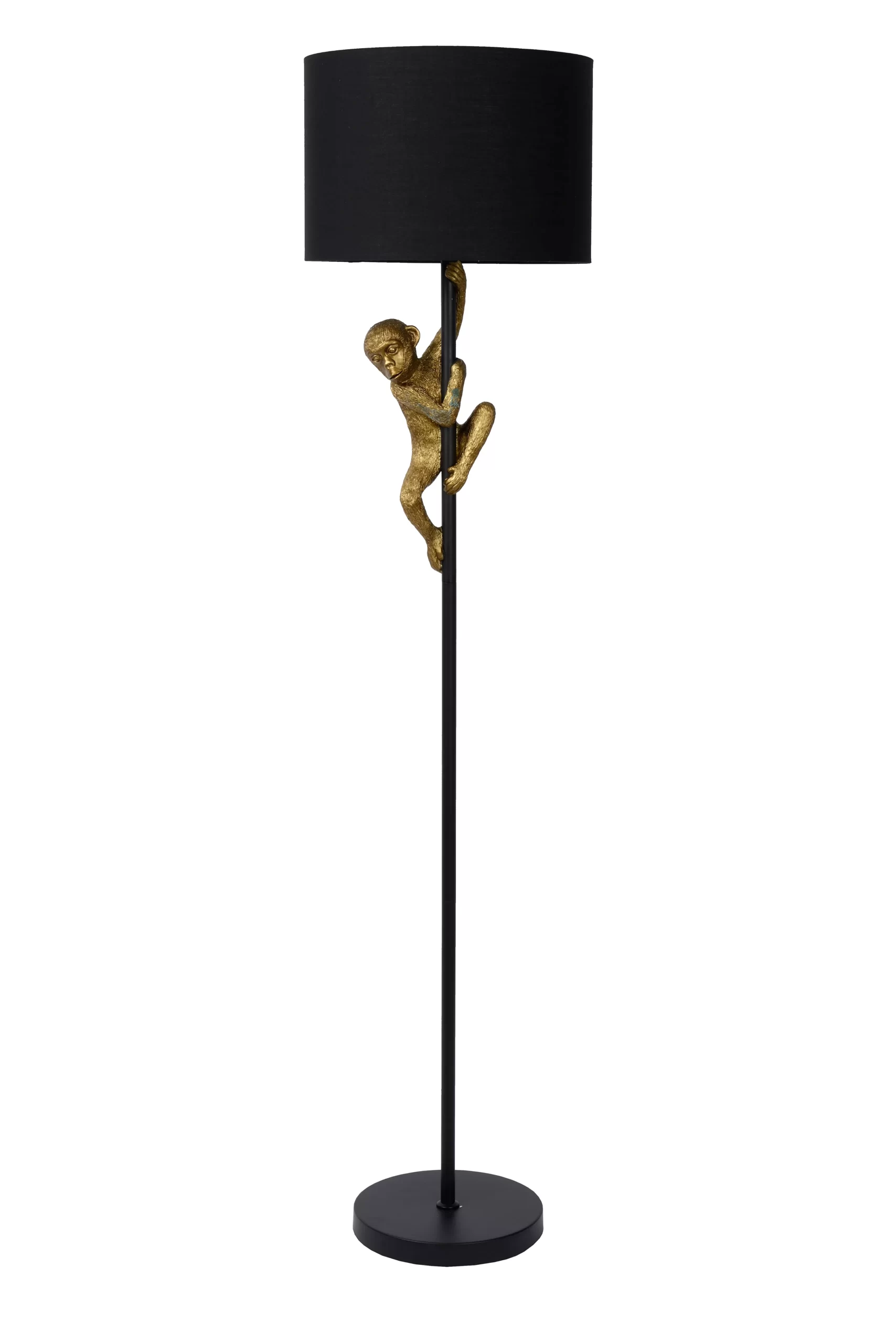 Lucide CHIMP pé - Image 4