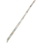 FITA DE LED 12W/MT 3000K 12V IP65 DUCTUS65